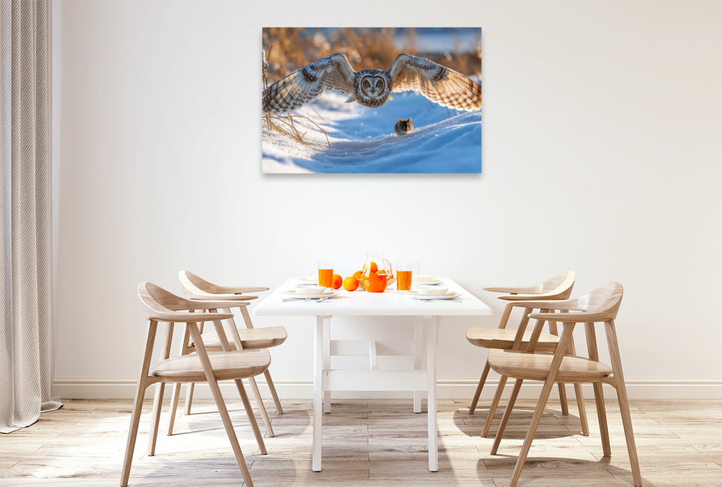 Premium Textil-Leinwand Eine Sumpfohreule gleitet durch den Winter