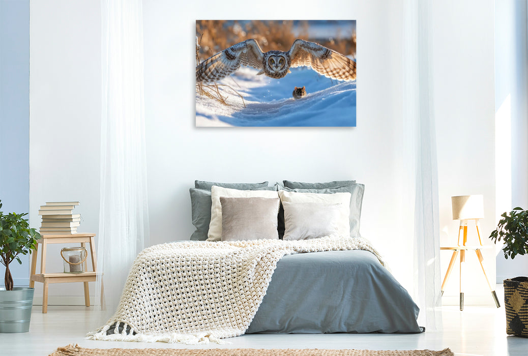 Premium Textil-Leinwand Eine Sumpfohreule gleitet durch den Winter