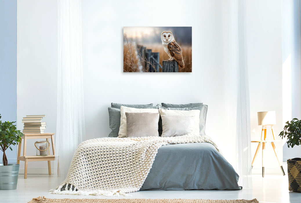 Premium Textil-Leinwand Die Schleiereule, lautlos und anmutig