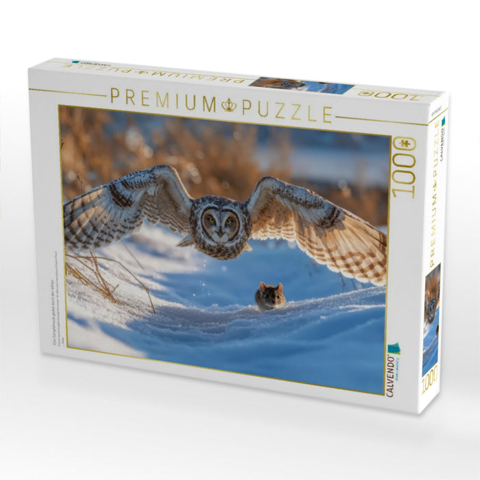 Eine Sumpfohreule gleitet durch den Winter - CALVENDO Foto-Puzzle'