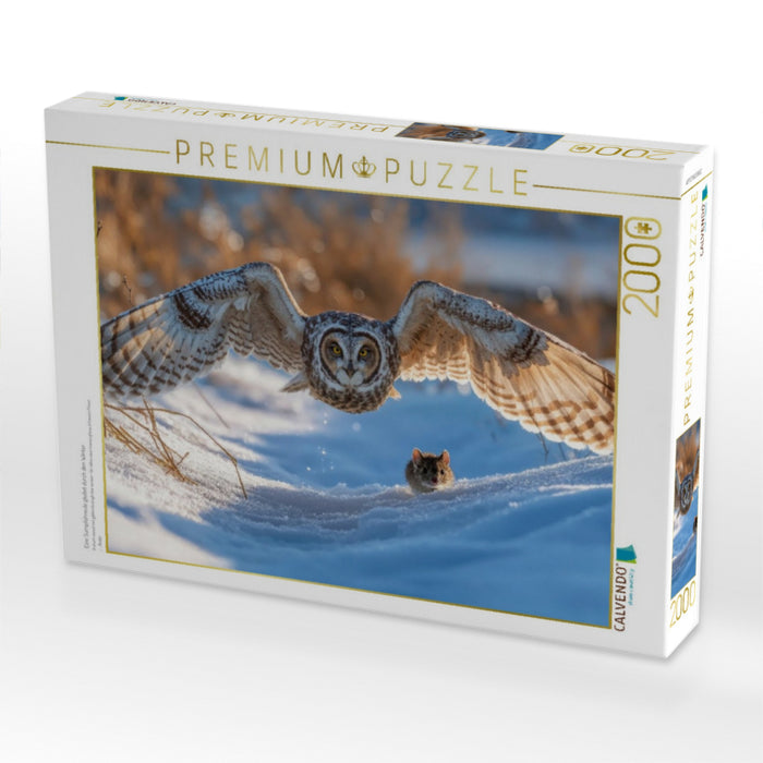 Eine Sumpfohreule gleitet durch den Winter - CALVENDO Foto-Puzzle'