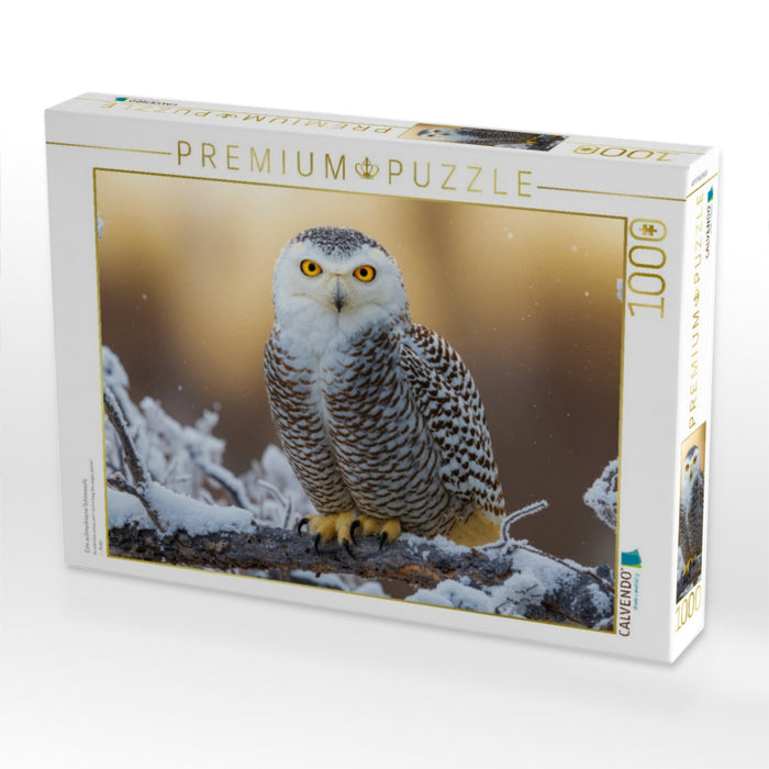 Eine aufmerksame Schneeeule - CALVENDO Foto-Puzzle'