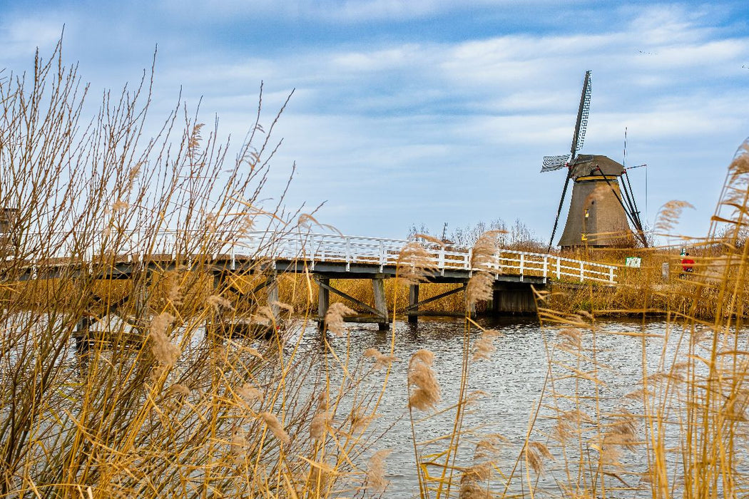 Premium Textil-Leinwand Holländische Windmühle