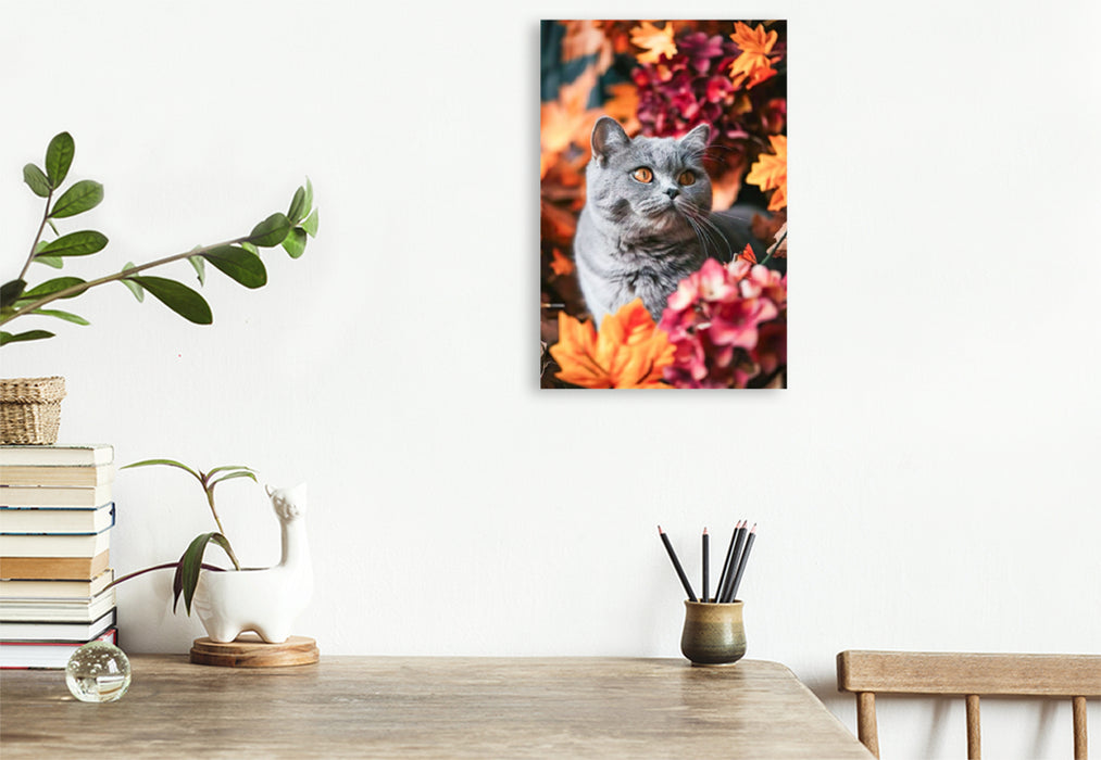 Premium Textil-Leinwand Herbstblumen