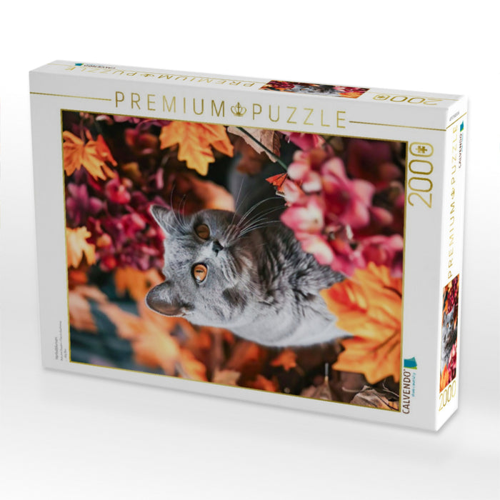 Herbstblumen - CALVENDO Foto-Puzzle'