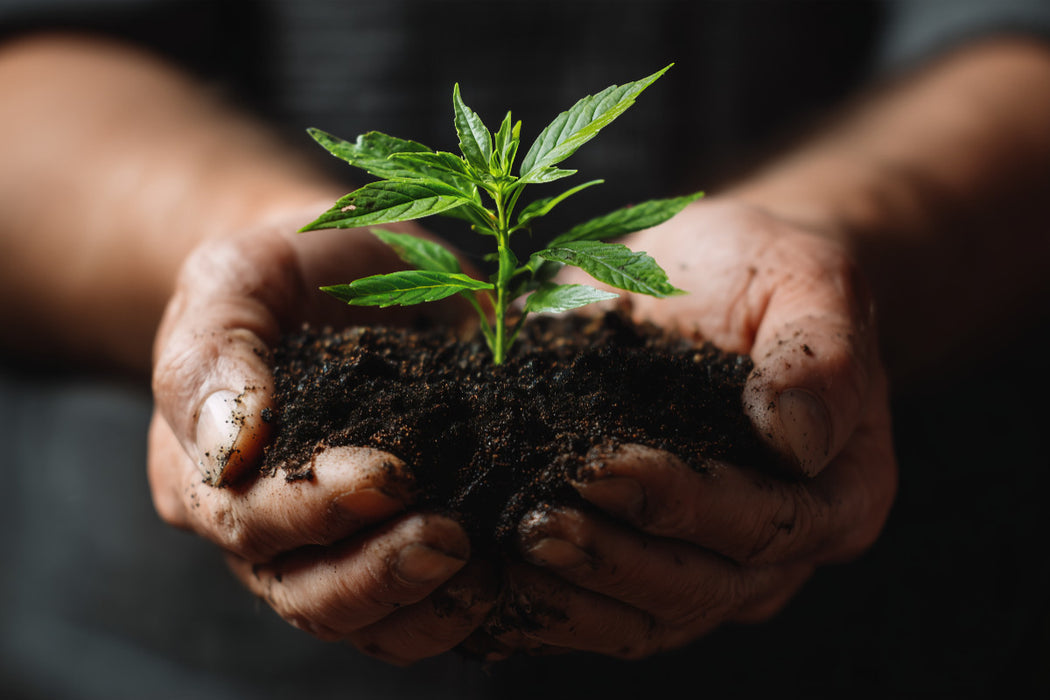 Premium Textil-Leinwand Ein Motiv aus dem Kalender Grüne Zukunft