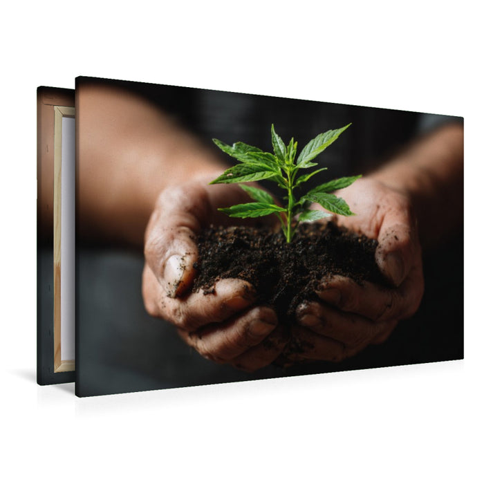 Premium Textil-Leinwand Ein Motiv aus dem Kalender Grüne Zukunft