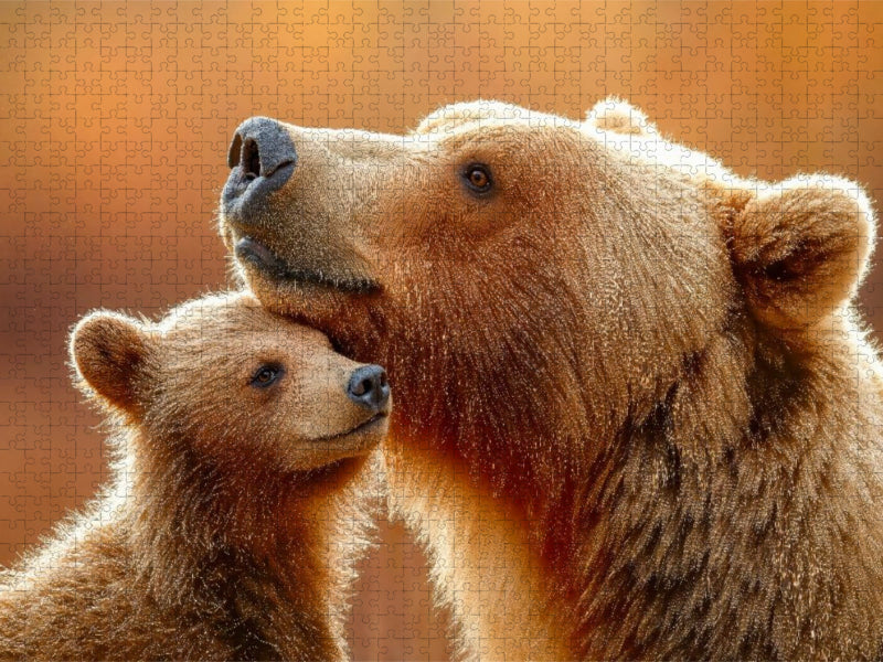 Ein zärtlicher Augenblick - CALVENDO Foto-Puzzle'