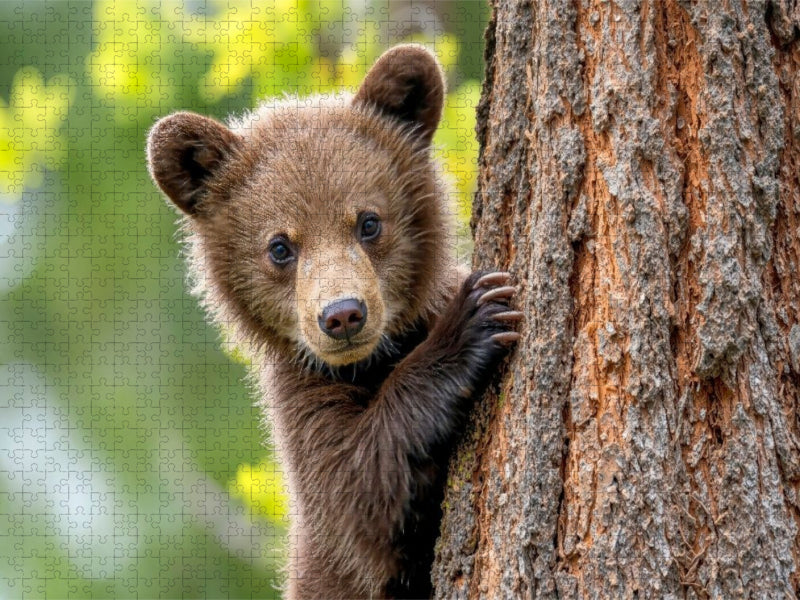 Hallo - sieht mich jemand - CALVENDO Foto-Puzzle'