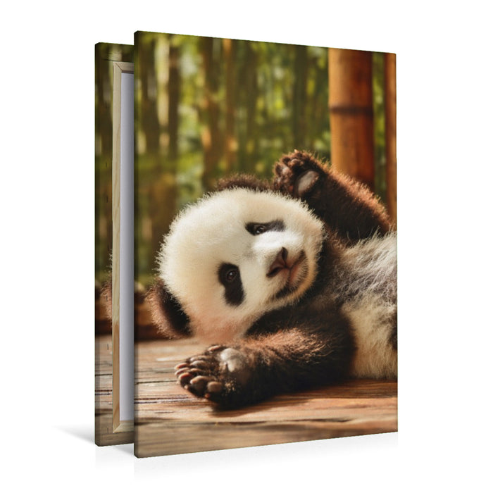 Premium Textil-Leinwand Kleine Pfoten, große Wirkung