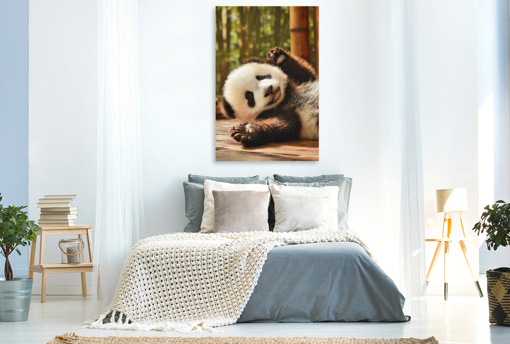 Premium Textil-Leinwand Kleine Pfoten, große Wirkung