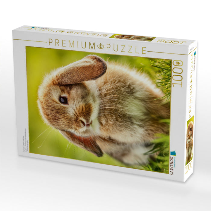 Tierisch schöne Gefühle - CALVENDO Foto-Puzzle'