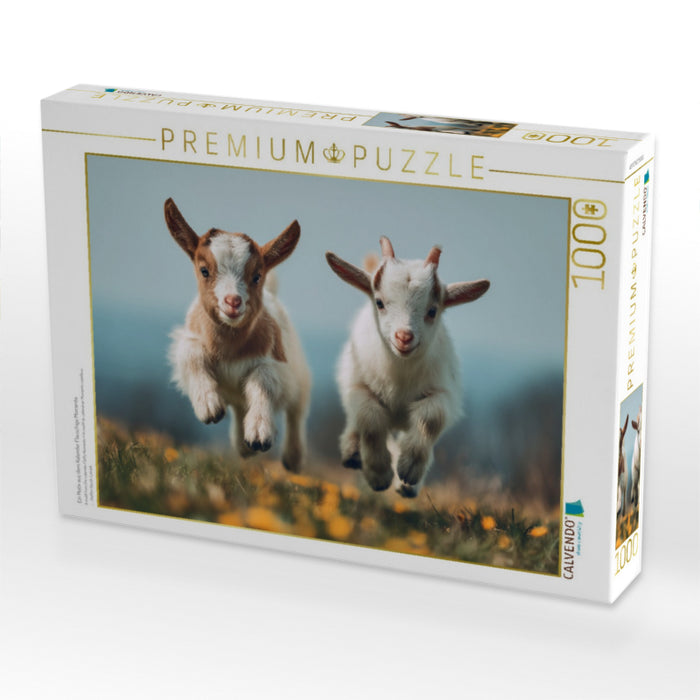 Ein Motiv aus dem Kalender Flauschige Momente - CALVENDO Foto-Puzzle'