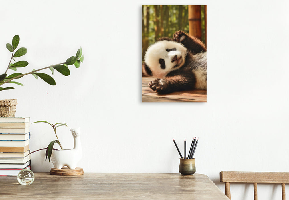 Premium Textil-Leinwand Kleine Pfoten, große Wirkung