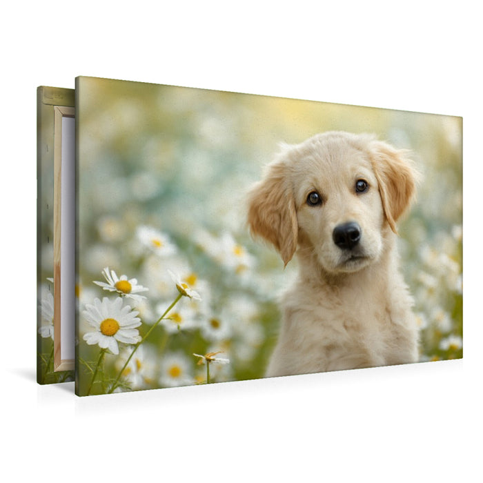 Premium Textil-Leinwand Ein Blick, und dein Herz schmilzt dahin