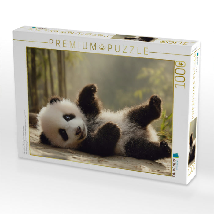 Wenn kleine Pfoten große Herzen erobern - CALVENDO Foto-Puzzle'