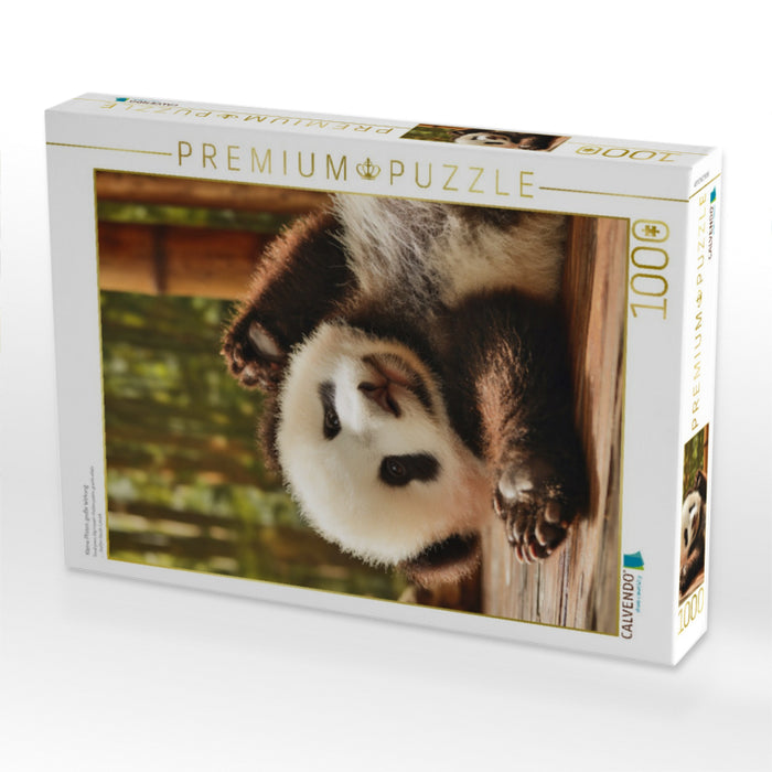 Kleine Pfoten, große Wirkung - CALVENDO Foto-Puzzle'