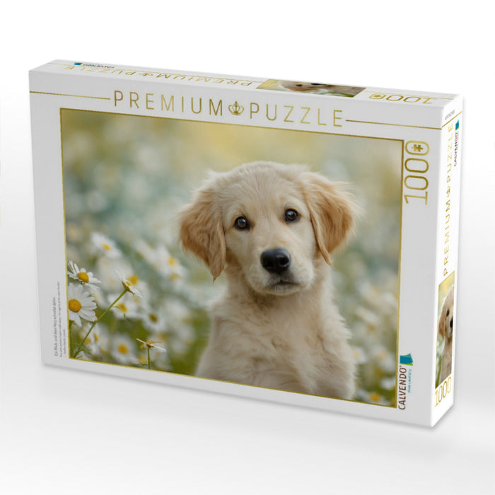 Ein Blick, und dein Herz schmilzt dahin - CALVENDO Foto-Puzzle'