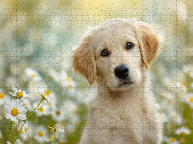 Ein Blick, und dein Herz schmilzt dahin - CALVENDO Foto-Puzzle'