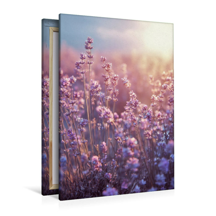 Premium Textil-Leinwand Lavendelduft ist ein Versprechen von Frieden und Leichtigkeit