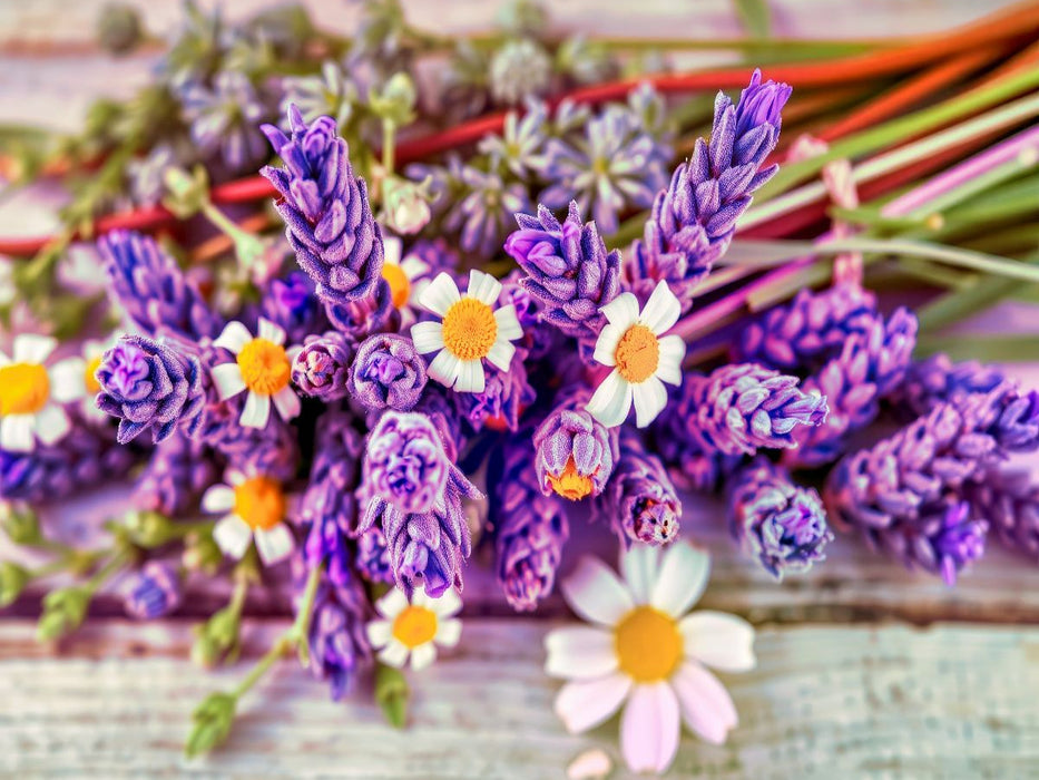 Natürlich entspannen – mit dem Duft des Lavendels. - CALVENDO Foto-Puzzle'