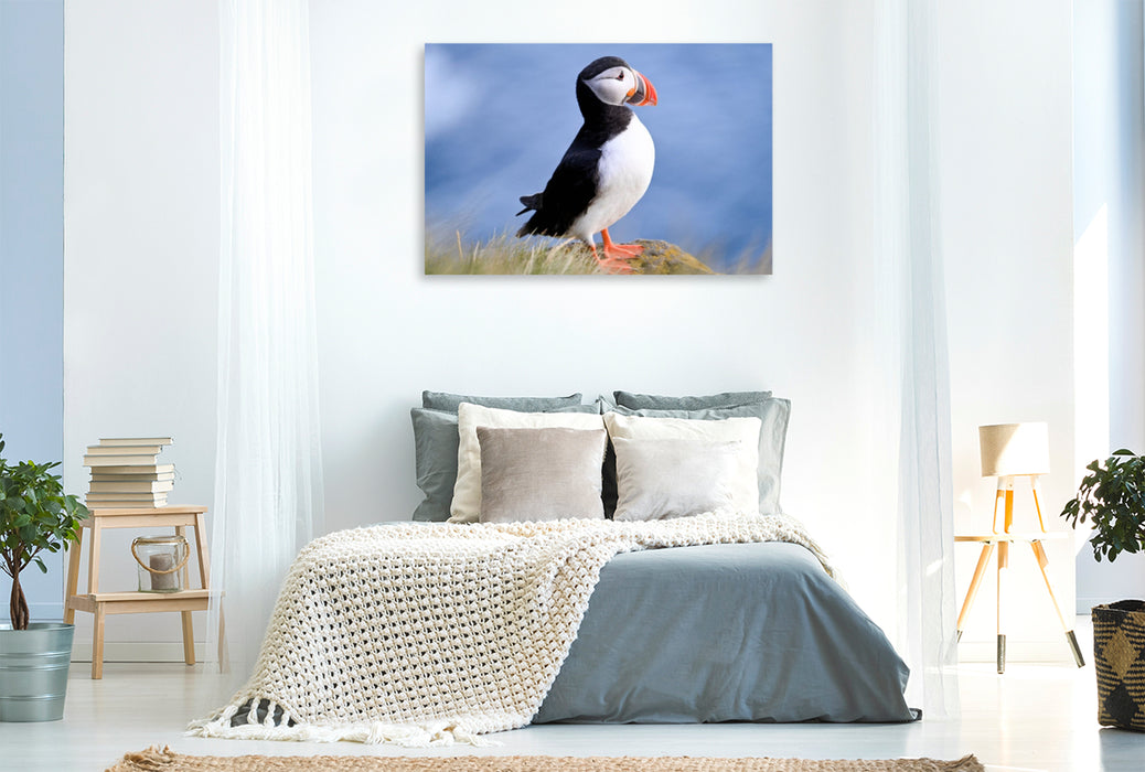 Premium Textil-Leinwand König der Puffins