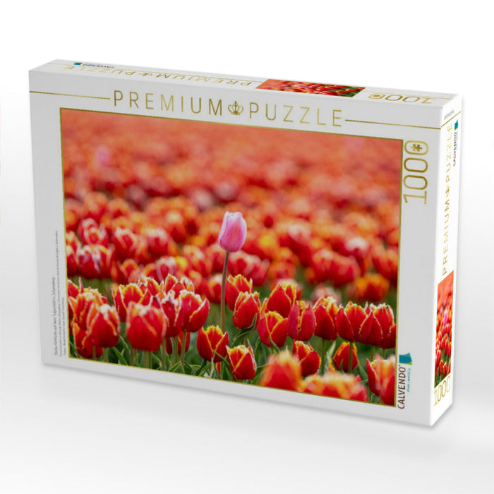 Stolze Fehlfarbe auf dem Tulpenfeld in Julianadorp - CALVENDO Foto-Puzzle'