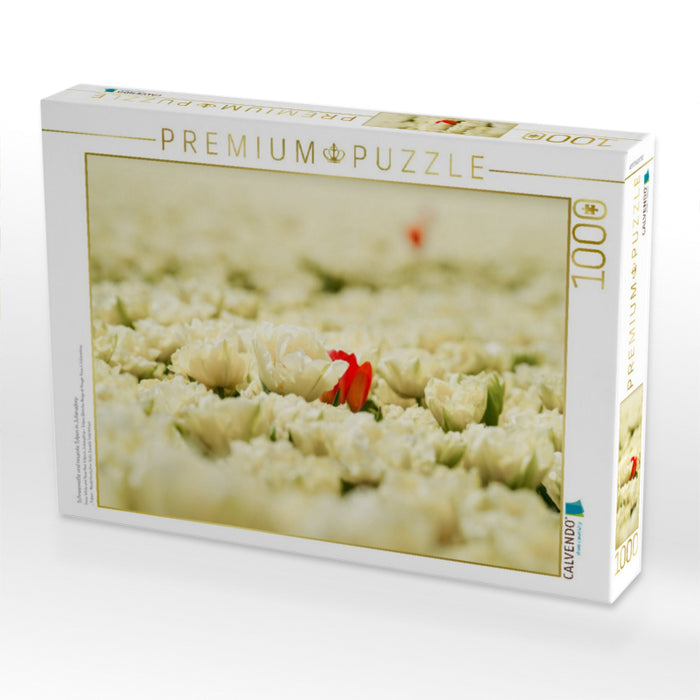 Schneeweiße und rosarote Tulpen in Julianadorp - CALVENDO Foto-Puzzle'