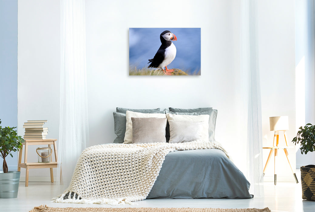 Premium Textil-Leinwand König der Puffins