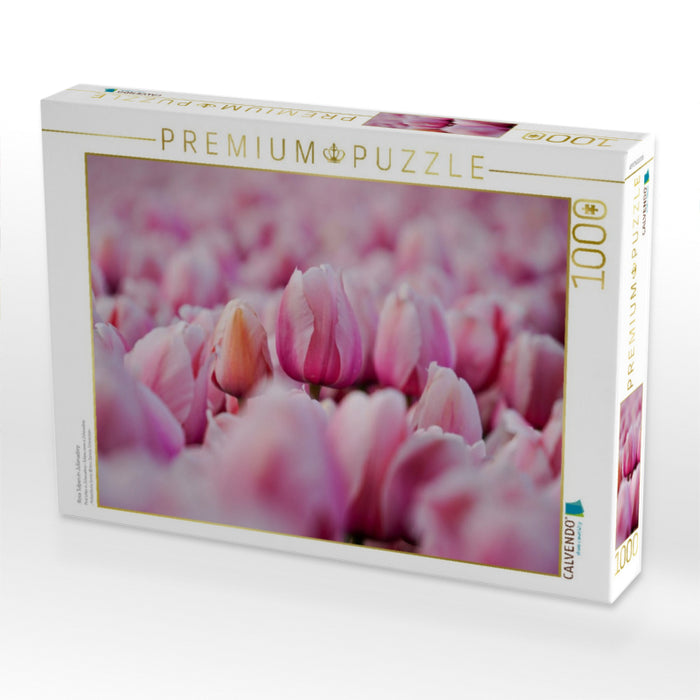 Rosa Tulpen in Julianadorp - CALVENDO Foto-Puzzle'