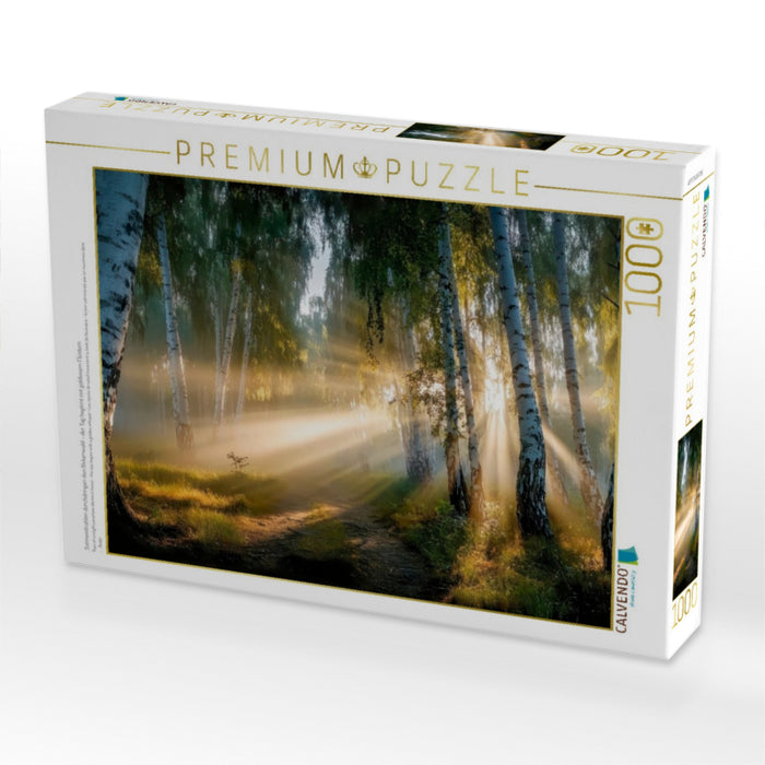 Sonnenstrahlen durchdringen den Birkenwald – der Tag beginnt mit goldenem Flüstern - CALVENDO Foto-Puzzle'