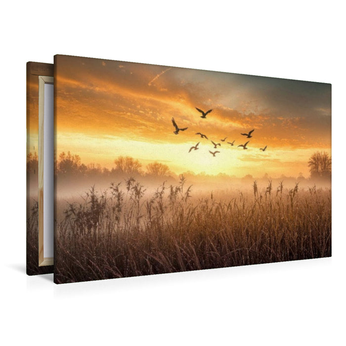 Premium Textil-Leinwand Gänse ziehen im Morgenlicht über nebelverhangene Wiesen – ein fliegender Neubeginn