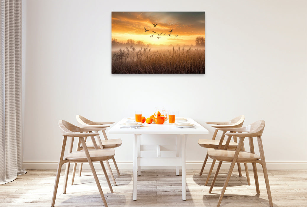 Premium Textil-Leinwand Gänse ziehen im Morgenlicht über nebelverhangene Wiesen – ein fliegender Neubeginn