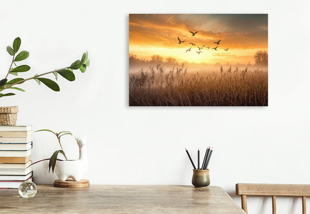 Premium Textil-Leinwand Gänse ziehen im Morgenlicht über nebelverhangene Wiesen – ein fliegender Neubeginn
