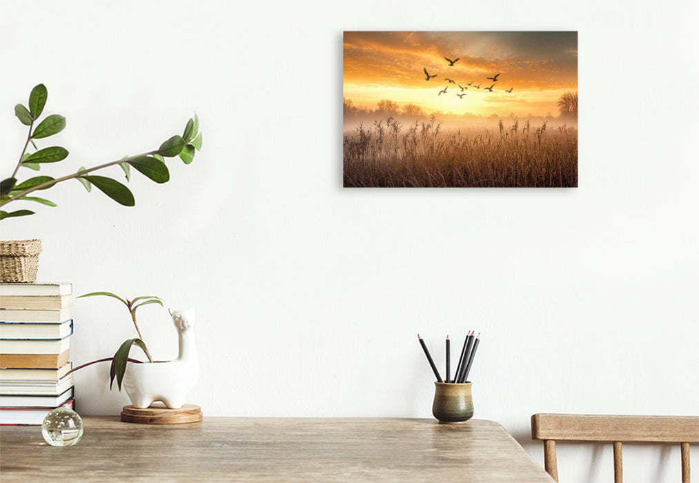 Premium Textil-Leinwand Gänse ziehen im Morgenlicht über nebelverhangene Wiesen – ein fliegender Neubeginn