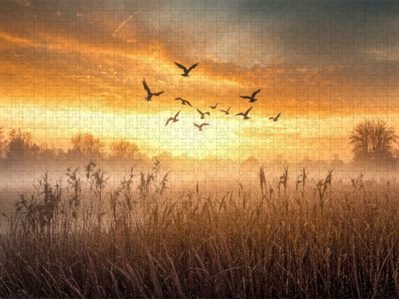 Gänse ziehen im Morgenlicht über nebelverhangene Wiesen – ein fliegender Neubeginn - CALVENDO Foto-Puzzle'