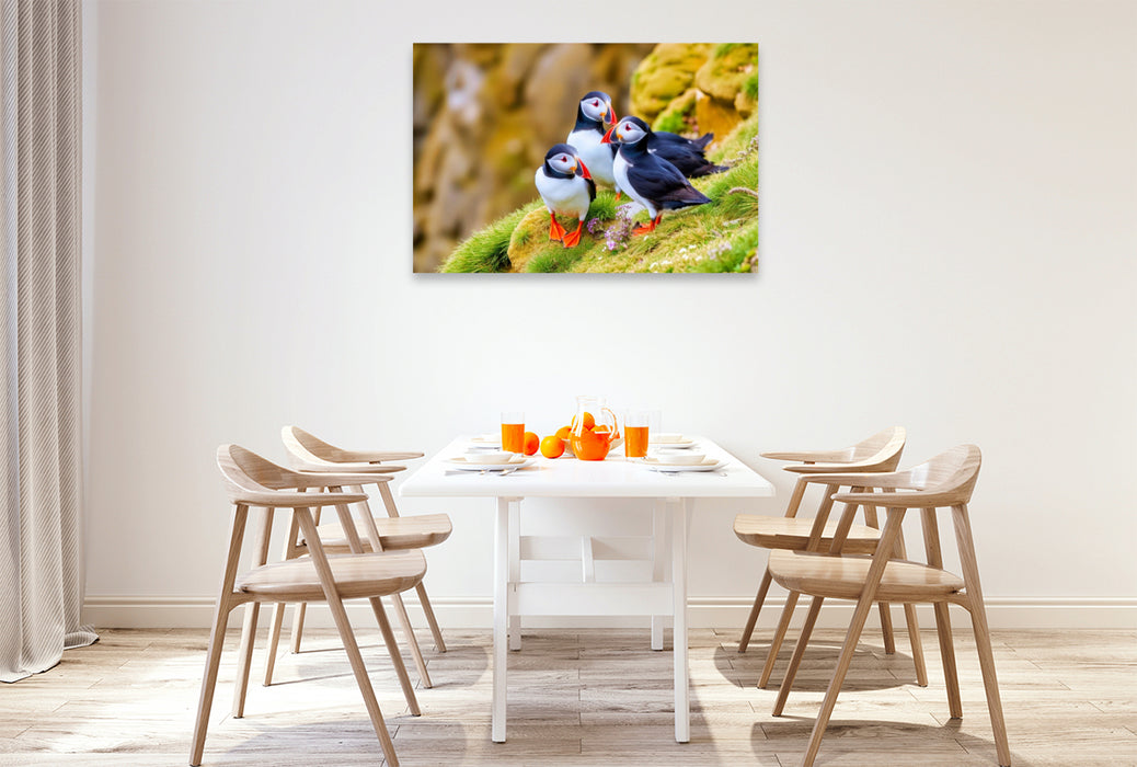 Premium Textil-Leinwand Ein Motiv aus dem Kalender Tieftaucher Papageitaucher