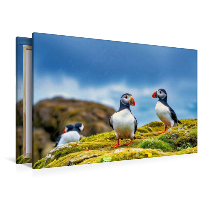 Premium Textil-Leinwand Zurück zur Natur – mit dem Vogel, der das Meer liebt.