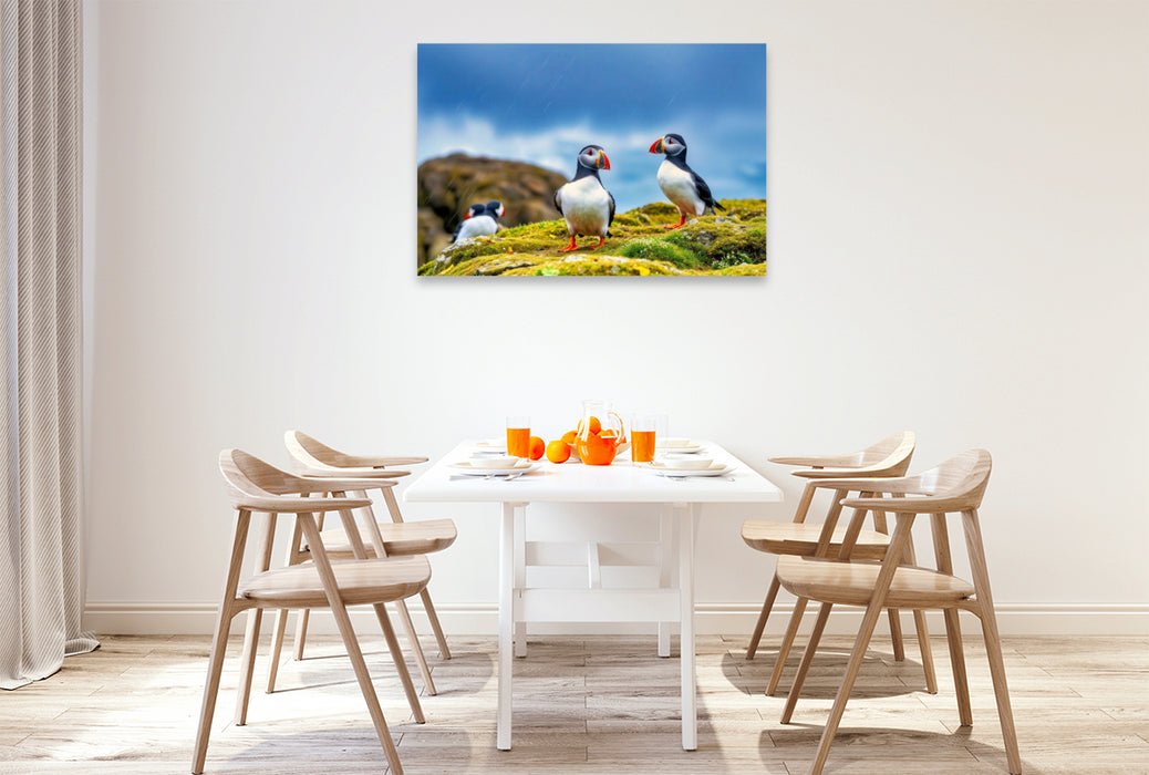 Premium Textil-Leinwand Zurück zur Natur – mit dem Vogel, der das Meer liebt.