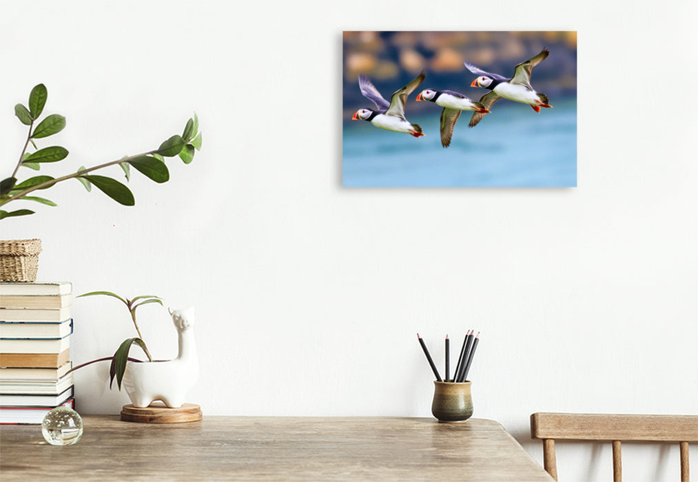 Premium Textil-Leinwand Ein Motiv aus dem Kalender Tieftaucher Papageitaucher