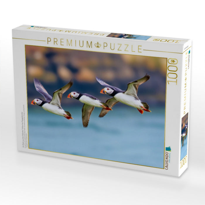 Ein Motiv aus dem Kalender Tieftaucher Papageitaucher - CALVENDO Foto-Puzzle'