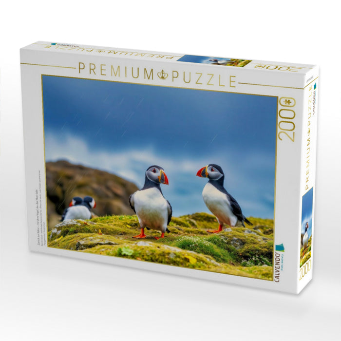 Zurück zur Natur – mit dem Vogel, der das Meer liebt. - CALVENDO Foto-Puzzle'