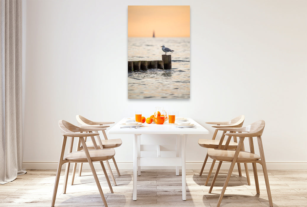 Premium Textil-Leinwand Ostsee - Möwe auf einer Buhne