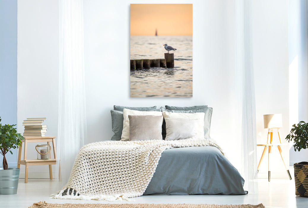 Premium Textil-Leinwand Ostsee - Möwe auf einer Buhne