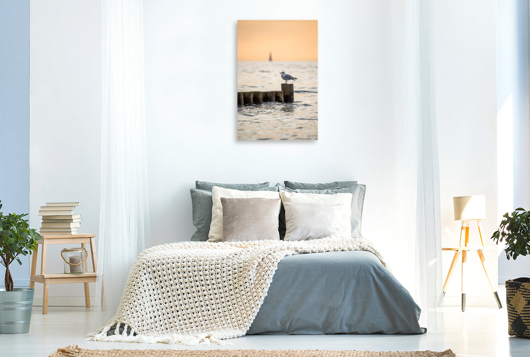 Premium Textil-Leinwand Ostsee - Möwe auf einer Buhne