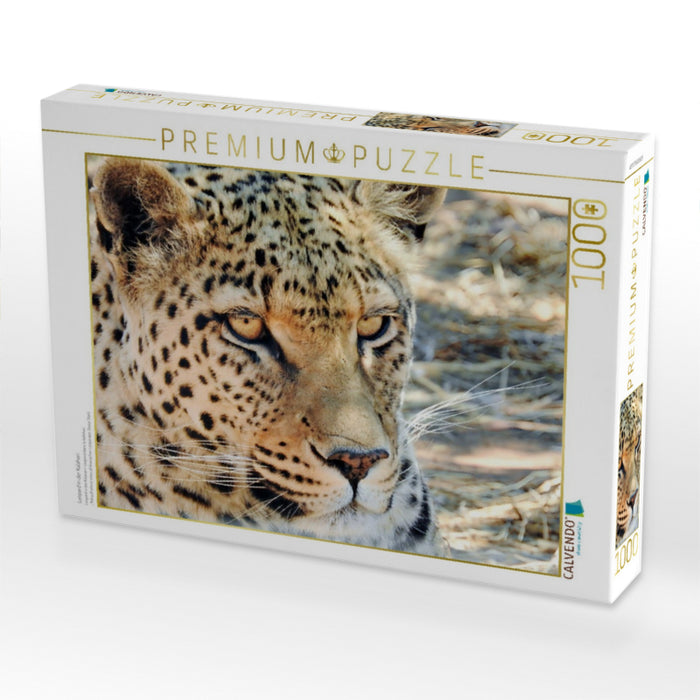 Leopard in der Kalahari - CALVENDO Foto-Puzzle'