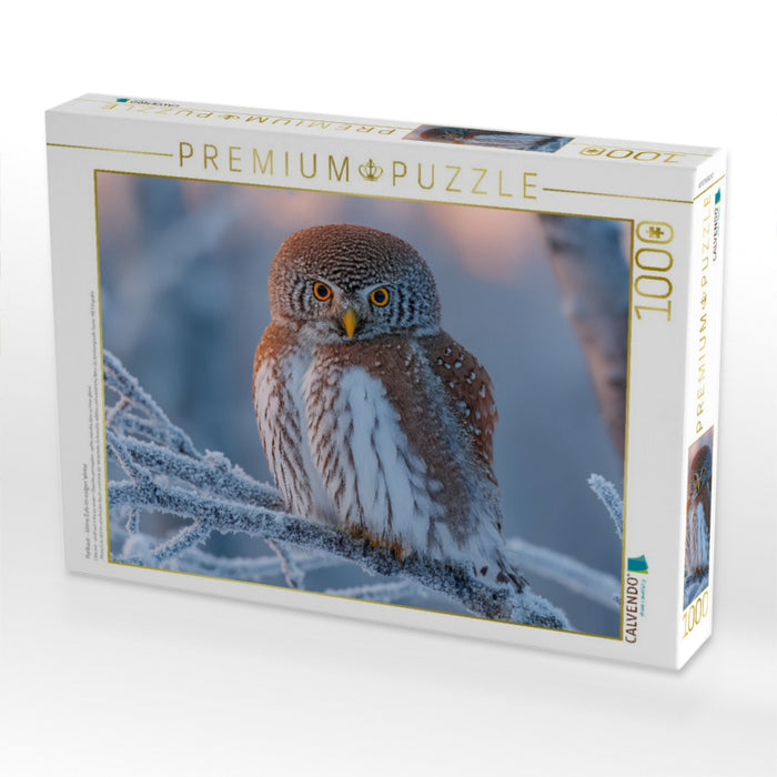 Perlkauz – kleine Eule im eisigen Winter - CALVENDO Foto-Puzzle'