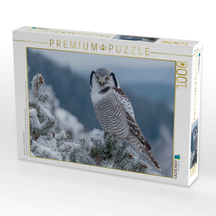 Sperbereule im frostigen Nadelwald - CALVENDO Foto-Puzzle'
