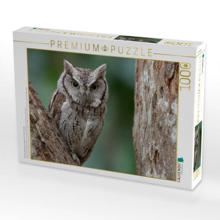 Winzige Zwergohreule getarnt im Baumstamm - CALVENDO Foto-Puzzle'