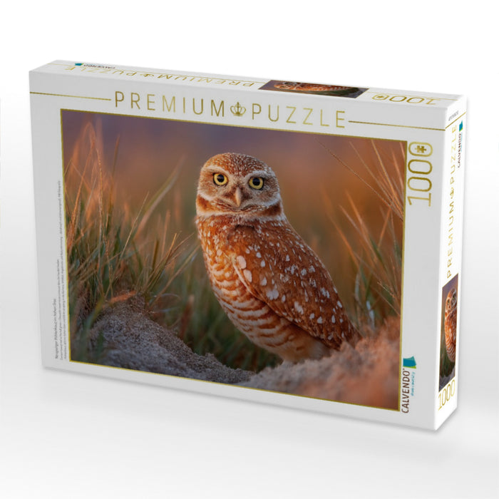 Neugieriger Höhlenkauz im hohen Gras - CALVENDO Foto-Puzzle'